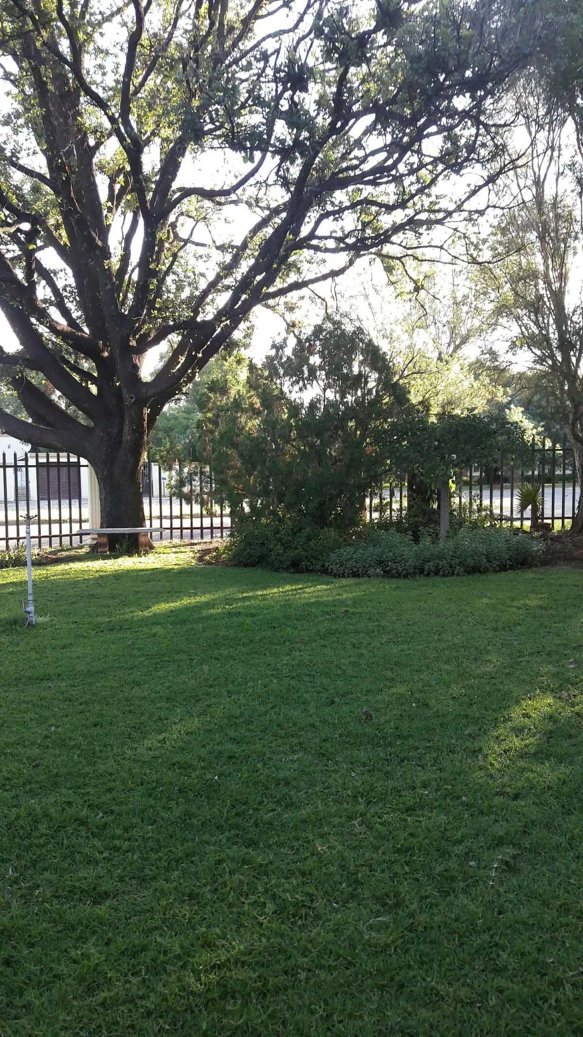 Spacious Room In Apartment With Beautiful Outside Garden