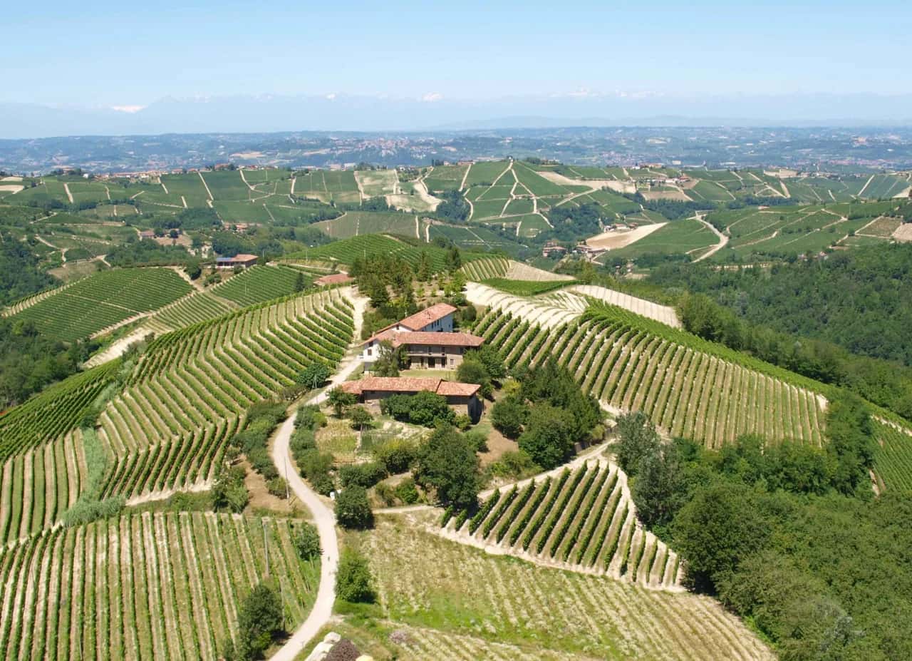 Private Vineyard Estate in Alba