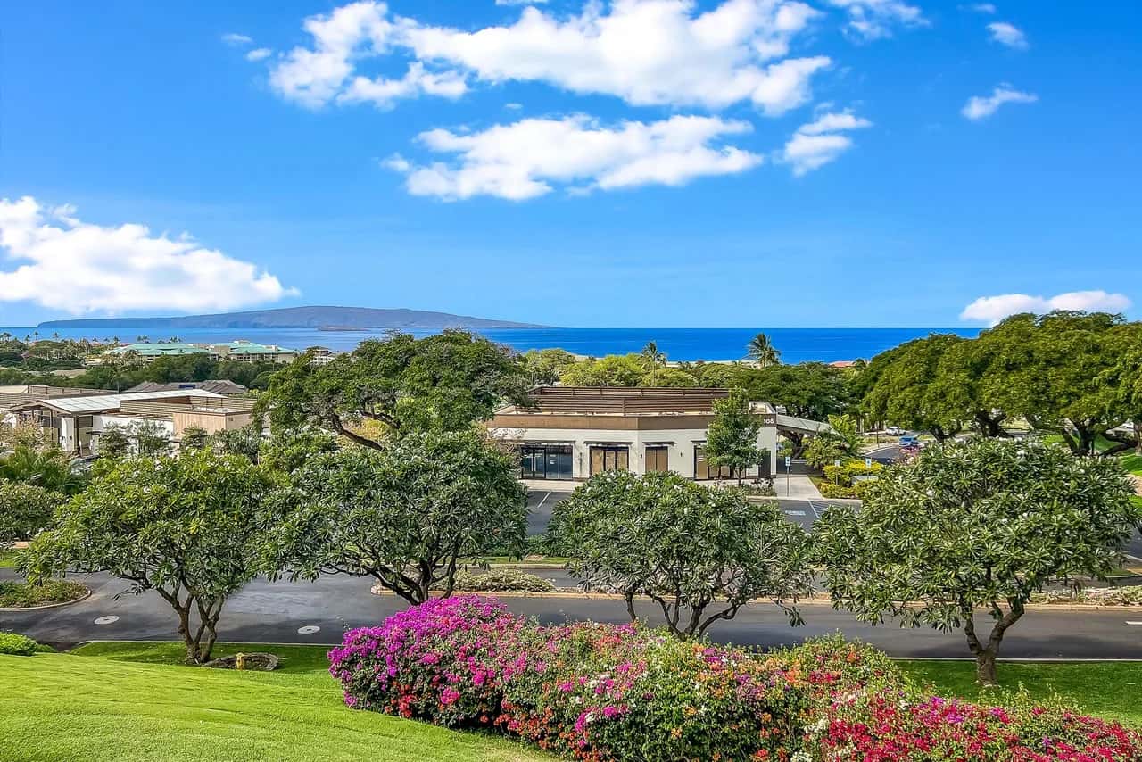 Außergewöhnliche Molokini-Blicke, spektakuläre Renovierung, neue Split-Klimaanlage, Ozeanblicke!