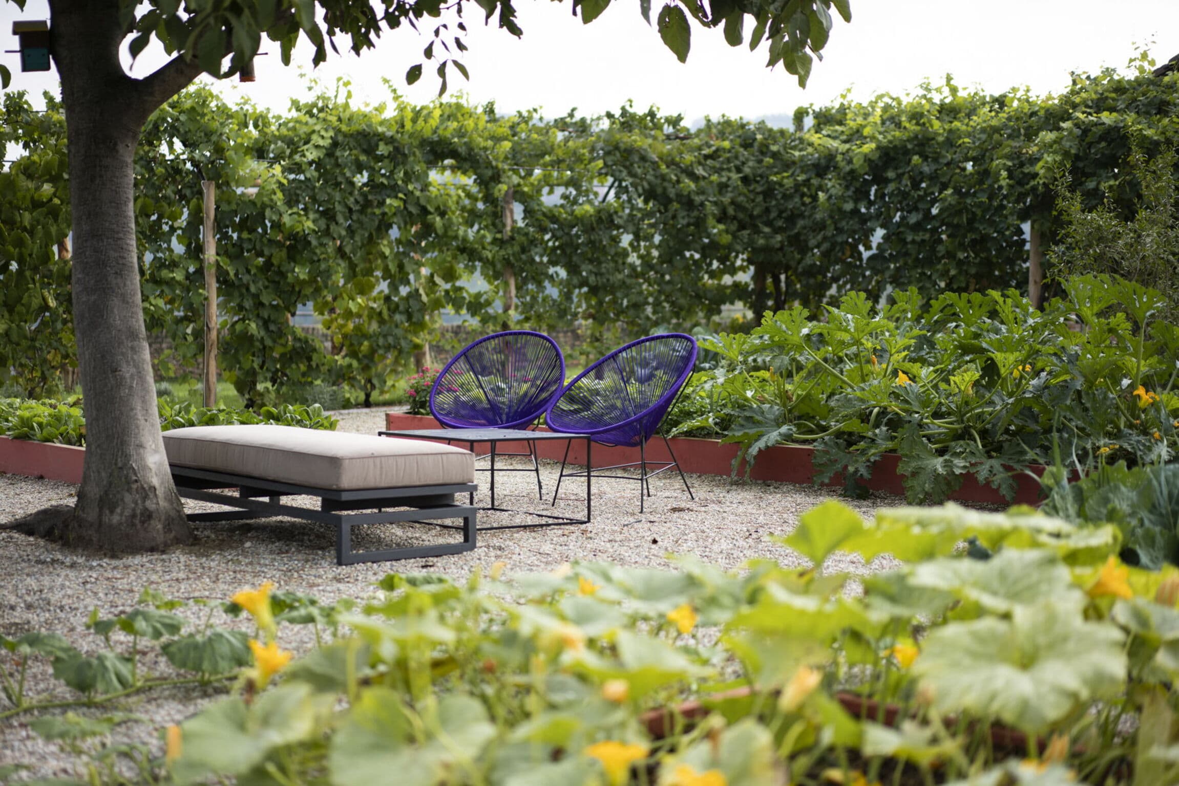 Villa Escénica con Piscina en Santo Stefano Belbo, foto 5
