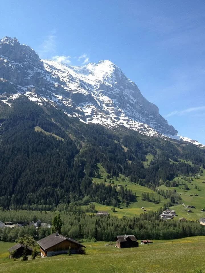 Cozy 3 BR Flat with great views to the Eiger North photo 2
