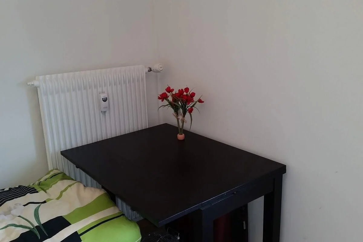 Ideally located Cozy Studio in Basel City Center photo 5