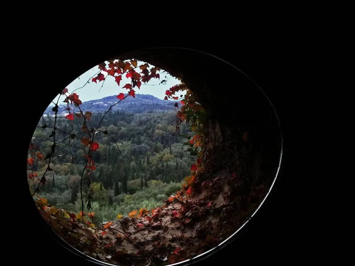 The traditional Corfiot villa with amazing views photo 5