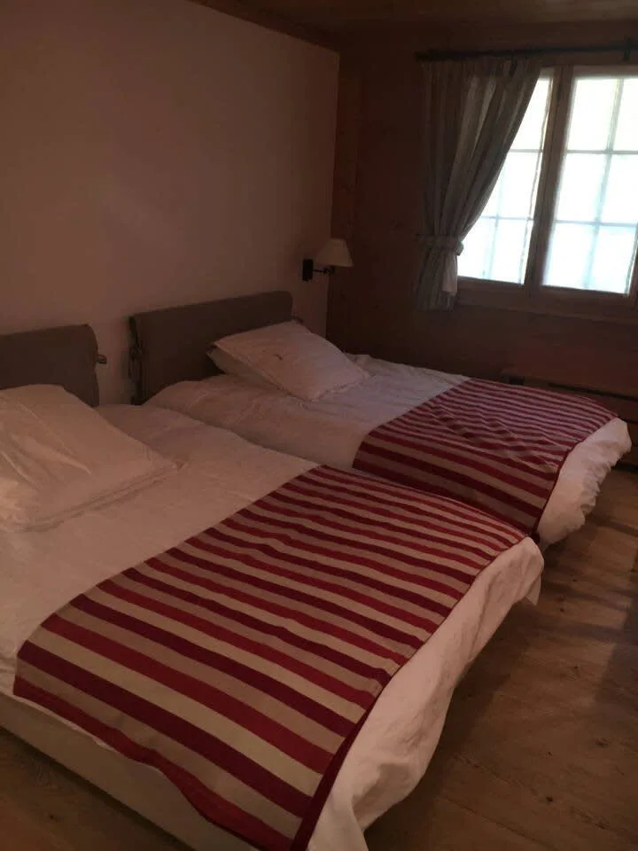 Eggli ski-in luxurious and cosy alpine style flat photo 5