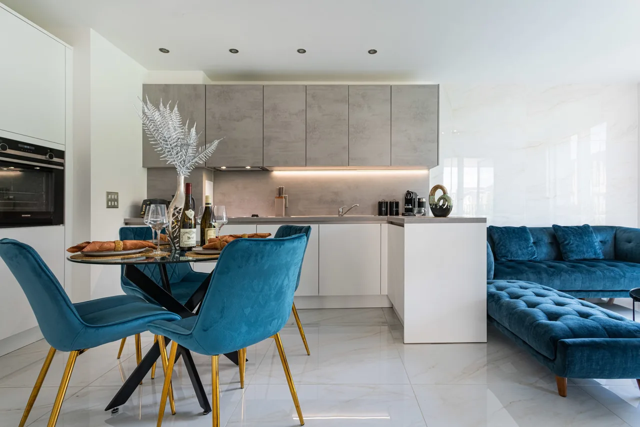 Accessible Luxury Apartment in London, photo 3