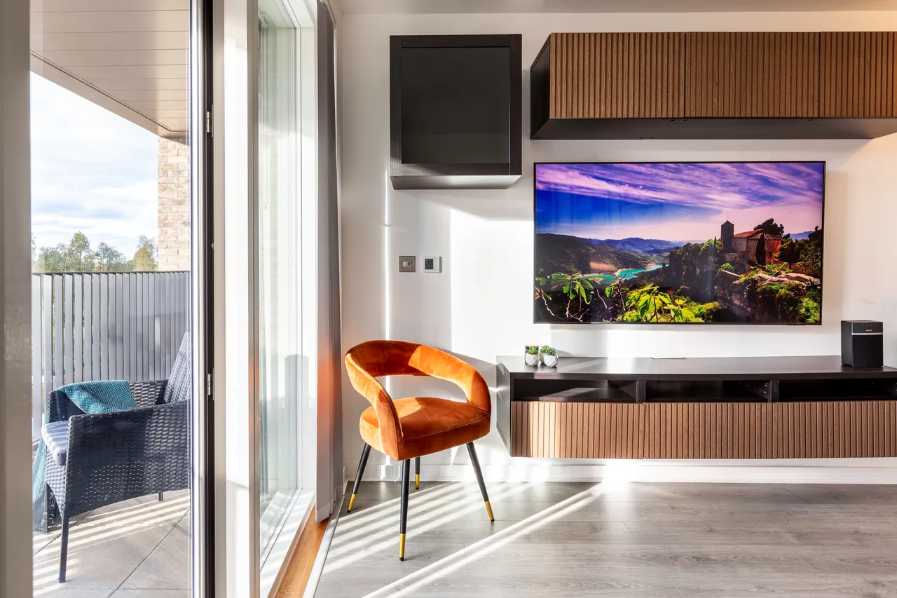 Park View Luxury Apartment in London, photo 4