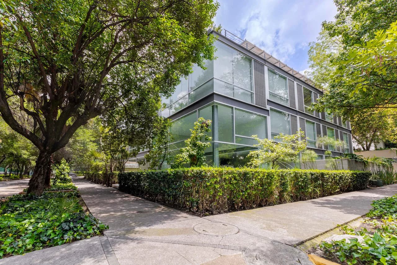 Private Terrace Condominium in Polanco, photo 5