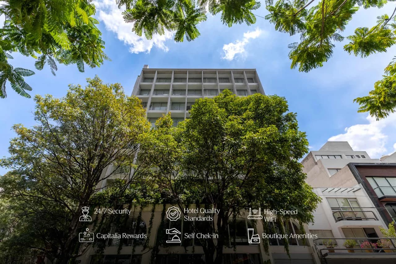 Modern Urban Retreat in Polanco photo 4