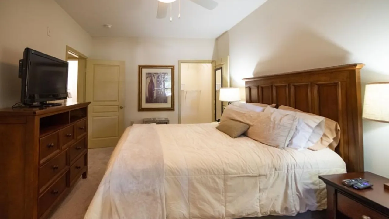 FURNISHED 1BR SANCTUARY W/ RESORT PERKS IN CARY photo 5