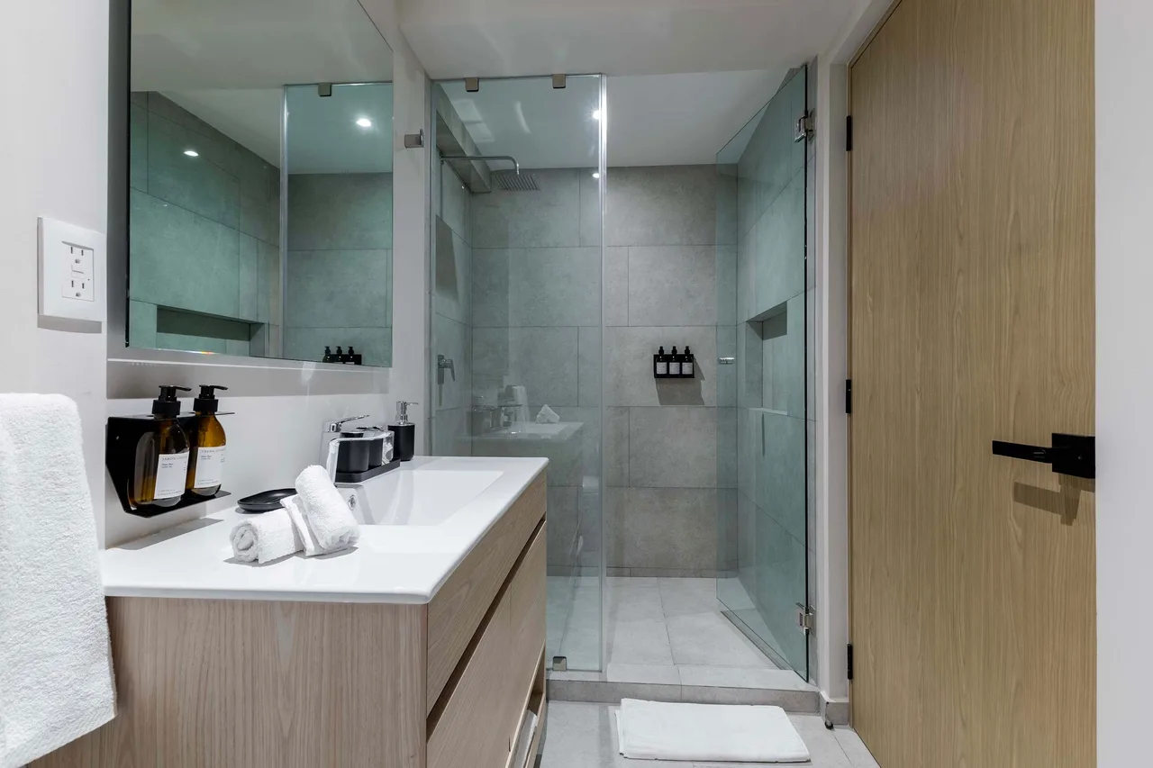 Accessible Apartment in Hipódromo, Mexico City photo 5