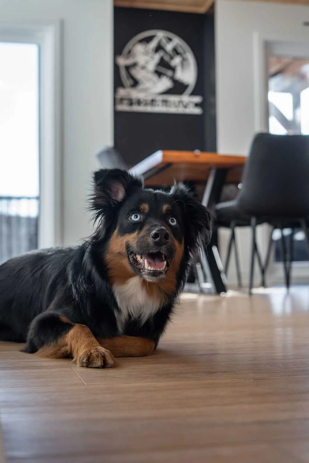 Le Boisé |  hot tub |  pool table | Dogfriendly photo 4