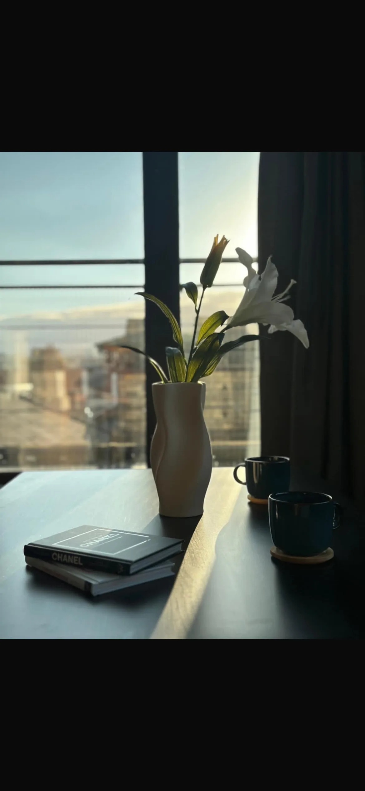 Custom House Square Penthouse photo 5