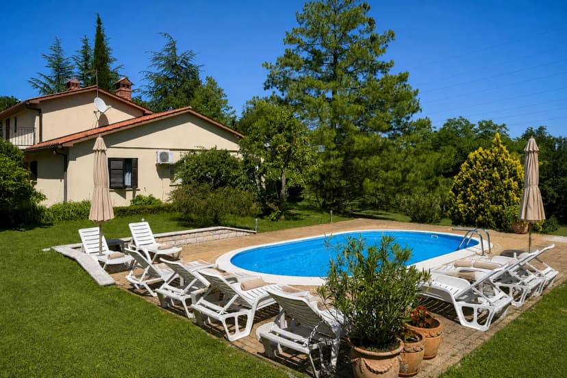 Marisa Olive Grove - App Aria