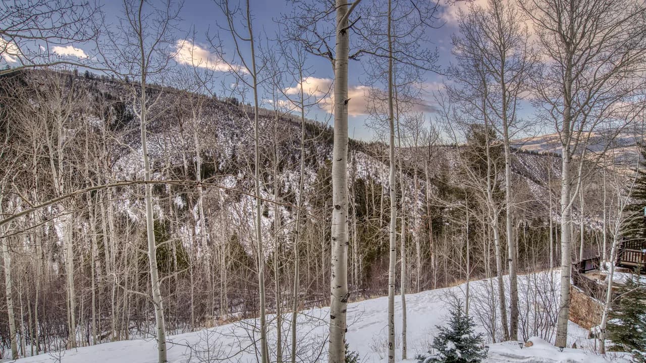 Bearberry Lodge photo 4