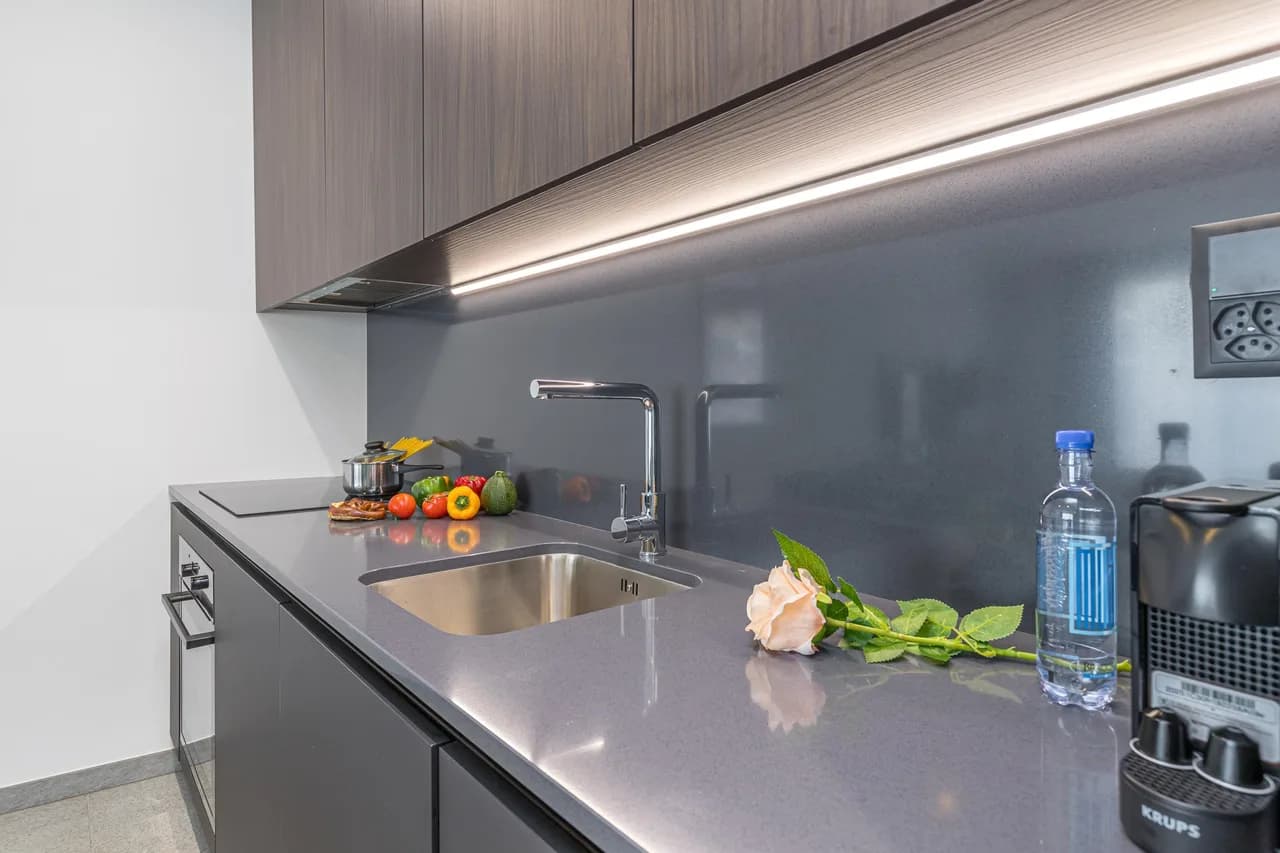 Modern Business Apartment in Ticino photo 5