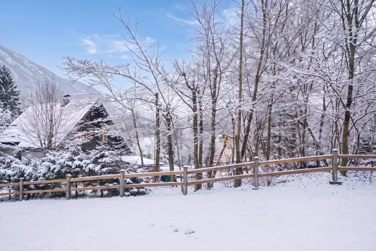 Alpine Chalet Metka at Lake Bohinj photo 2