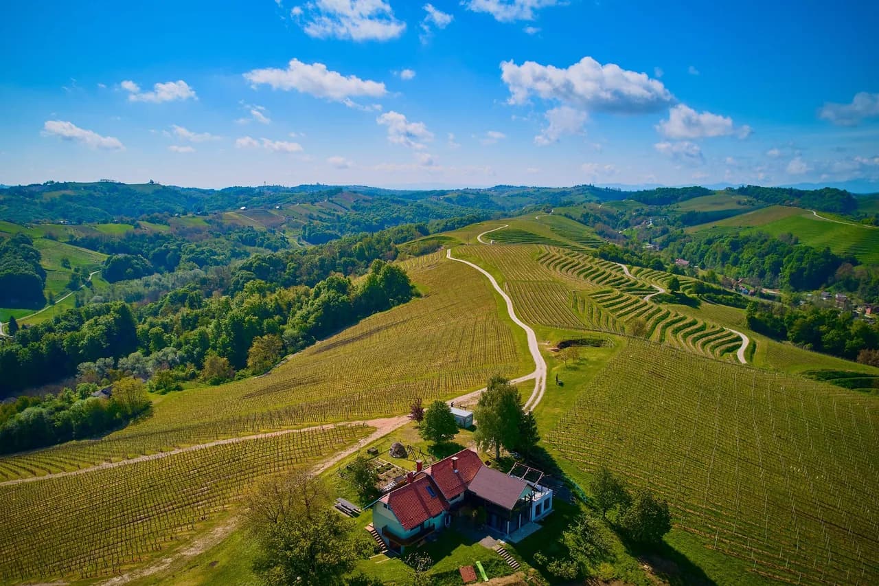 Panoramic View Vacation Home in Ljutomer