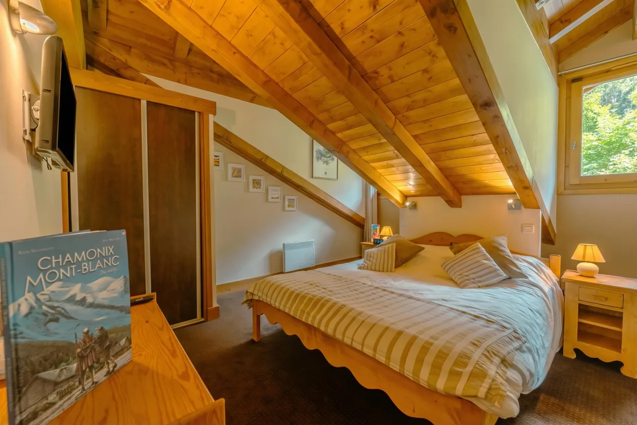V Loriaz 44 : À Côté des Remontées Mécaniques ; Piscine, Sauna & Gym, photo 5