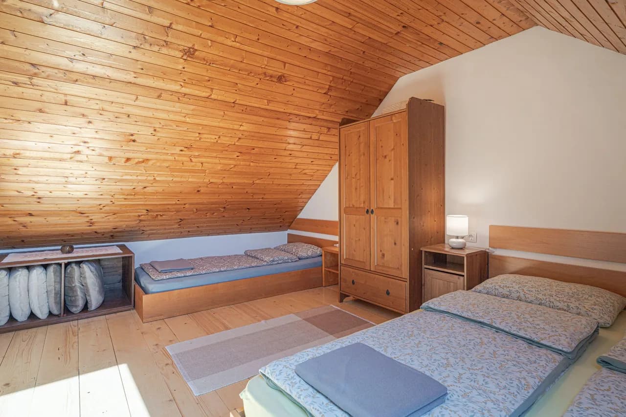 Vineyard View Vacation Home in Ljutomer, photo 5