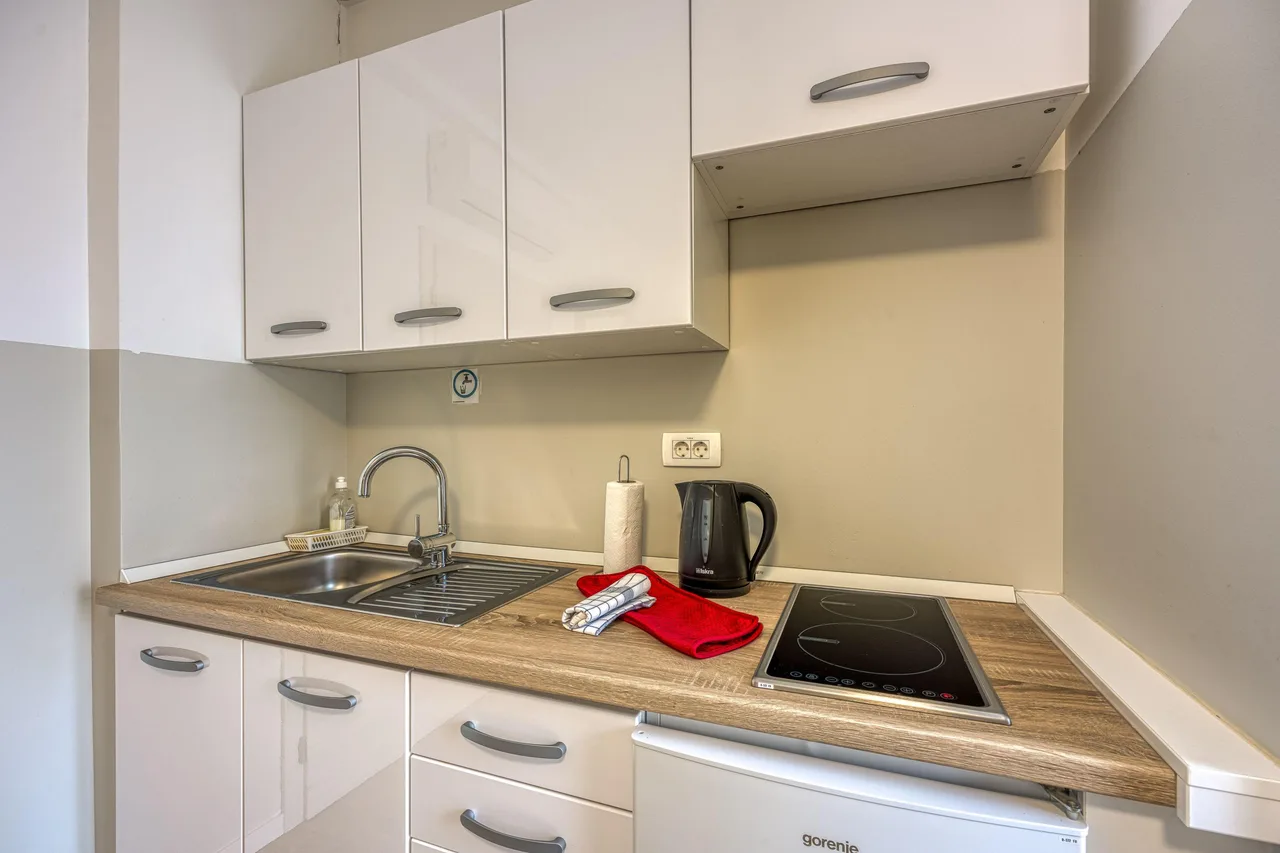 Jantar 2 Studio with Terrace Novo Mesto photo 4