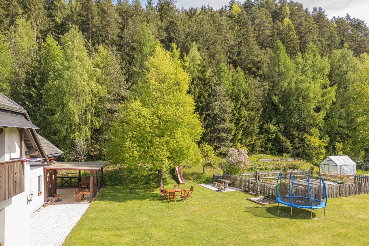 Organic Homestead Mikl Spruce Tree Apt photo 2