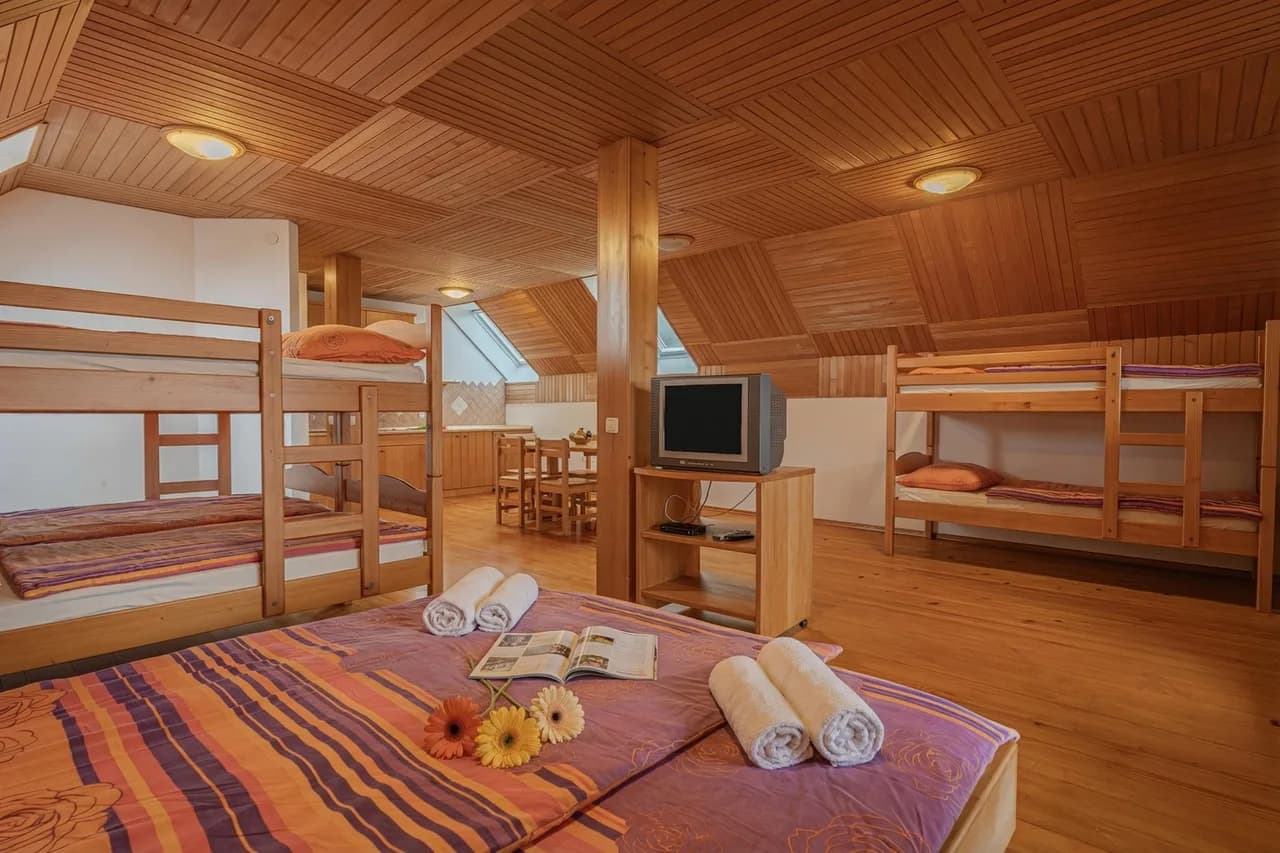 Farm Stay Oblak XL Studio + Shared Sauna photo 5
