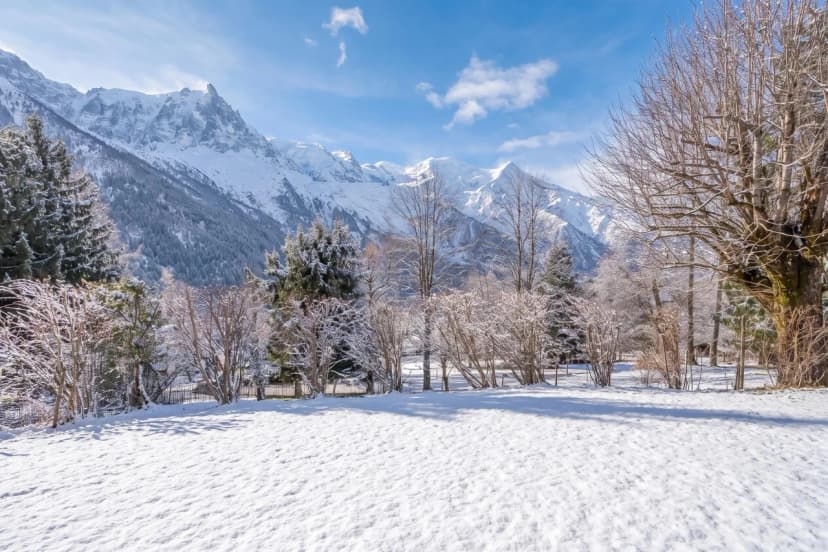 Chalet Les Airelles Mont-Blanc View