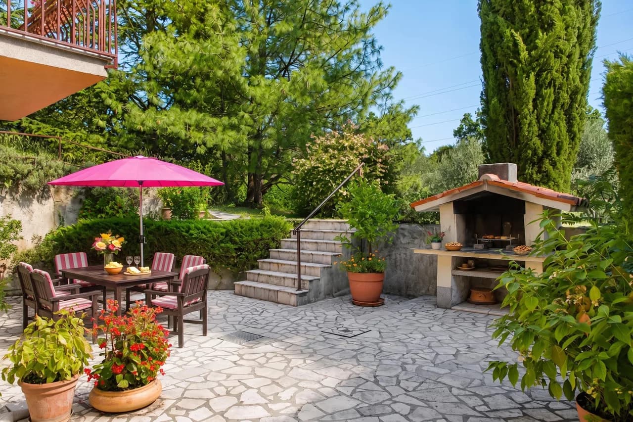 Marisa Olive Grove - App Terra photo 3