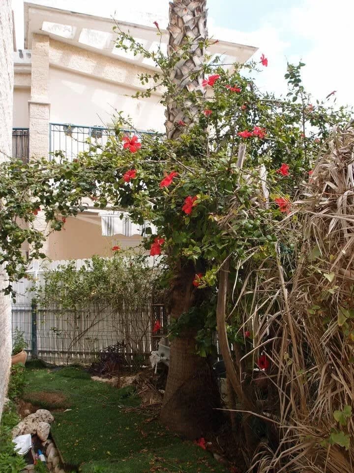 Dulce y Acogedora Casa en un Vecindario Central y Tranquilo, foto 4