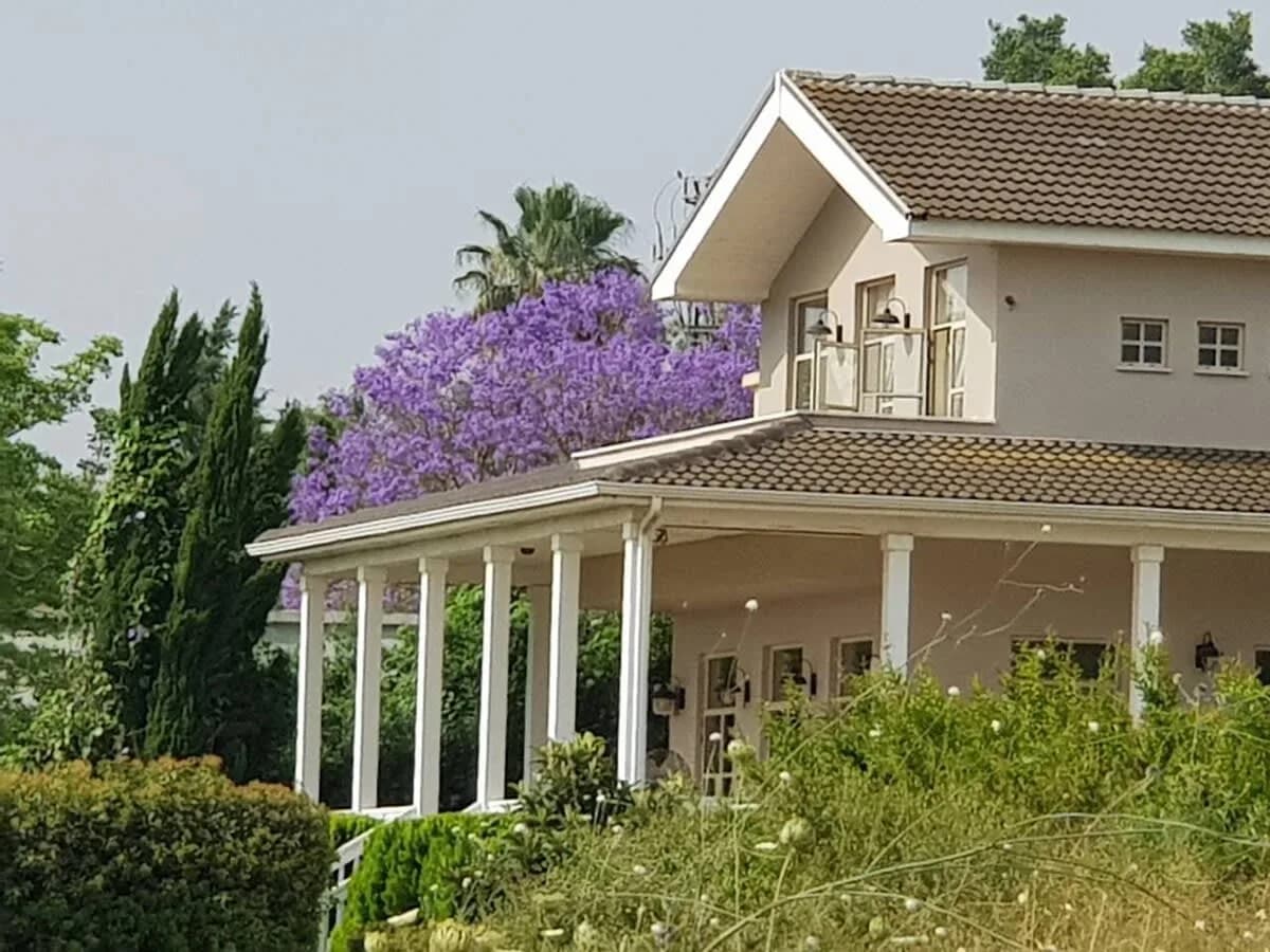 Amazing Designed Villa near nature woods and beach
