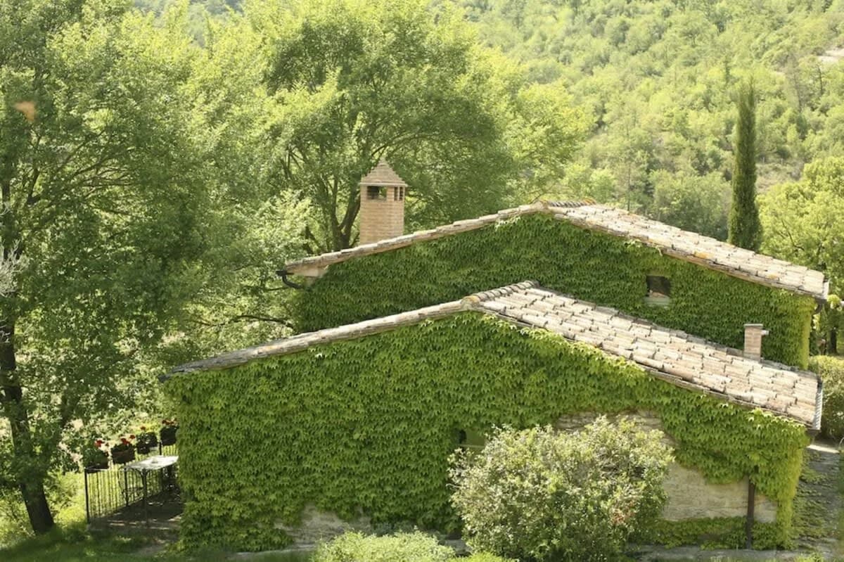 Typical Farm Villa near Orvieto and Lake Trasimeno photo 3