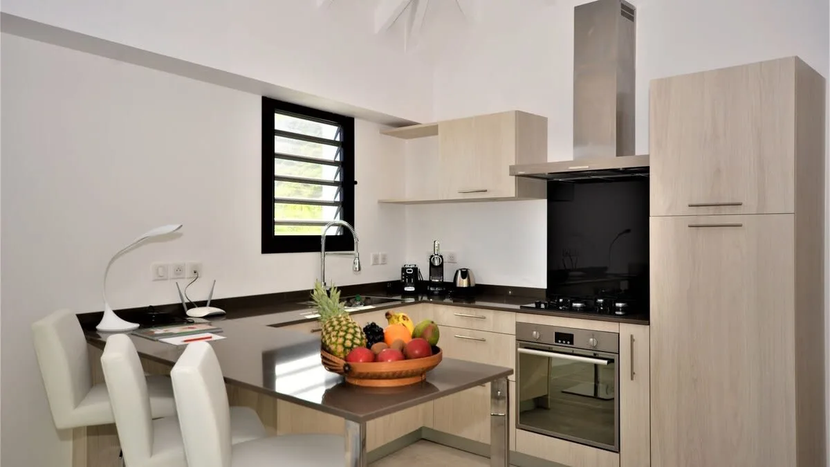 Contemporary Tropical Villa in Anse des Cayes photo 5