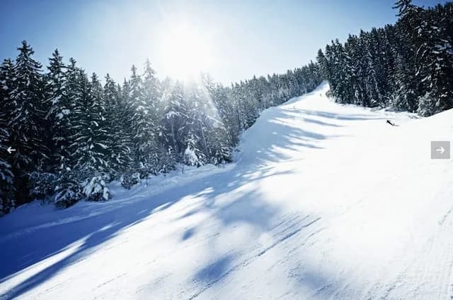 Perfecto Lugar de Alojamiento en los Alpes, foto 5
