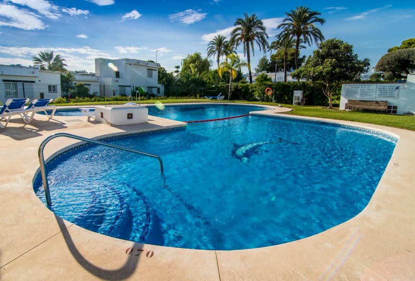 Amazing 3 BR Apartment