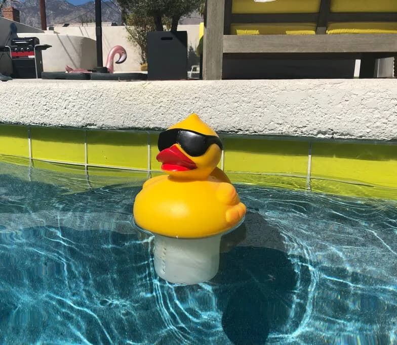 Resort-Style Pool Home in Palm Springs, Foto 5