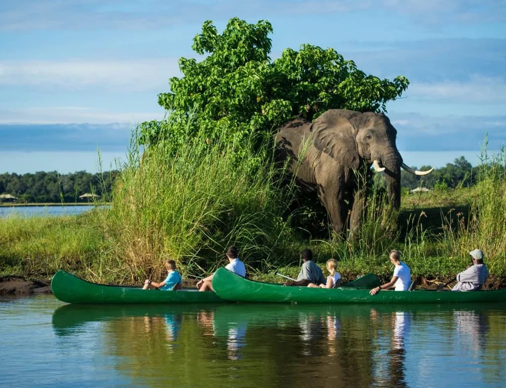 Suite Privada Ubicada en la Orilla del Río Zambezi, foto 5