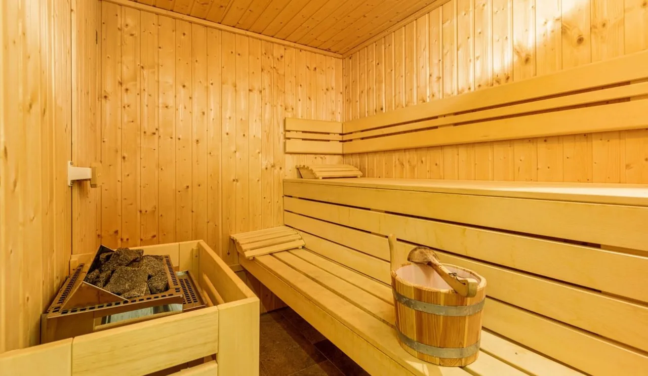 Luxuriöses Chalet Mit Pool Und Fitnessraum, Foto 5