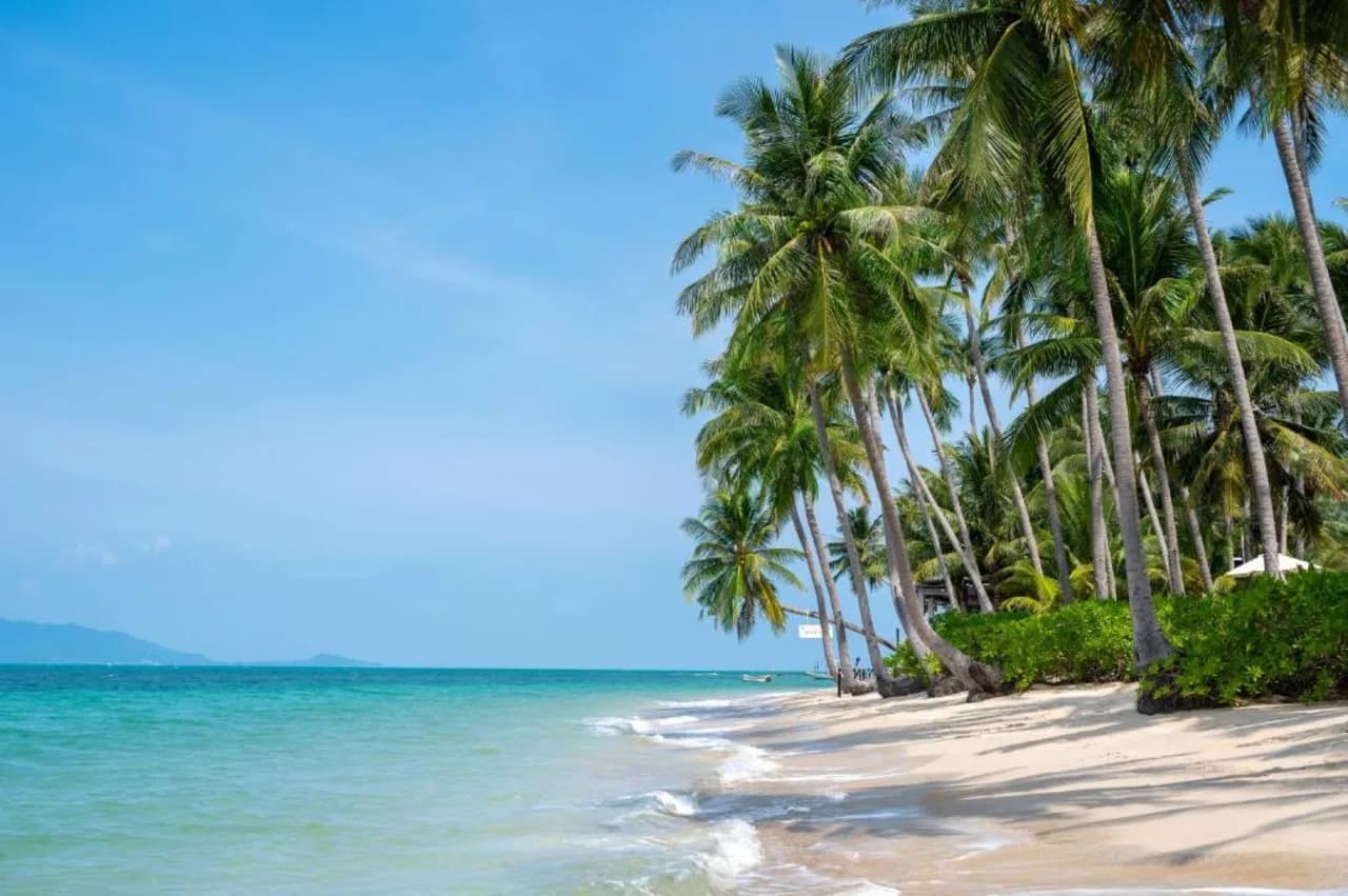 Stunning Beach Front Paradise, Foto 2
