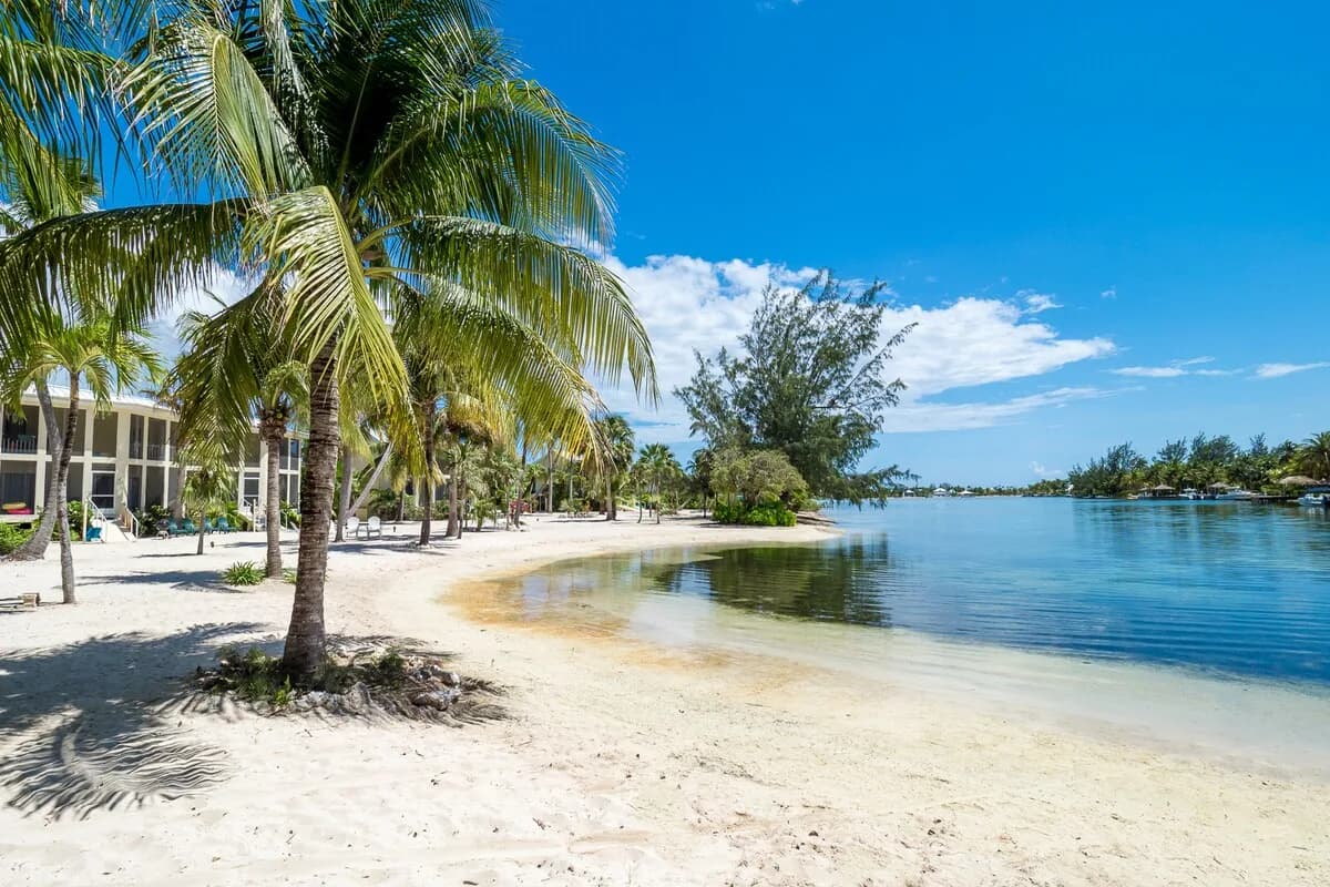 Island House #12 “Summer Breeze” 2BR/2BA at Rum Point Bioluminescent Bay photo 5