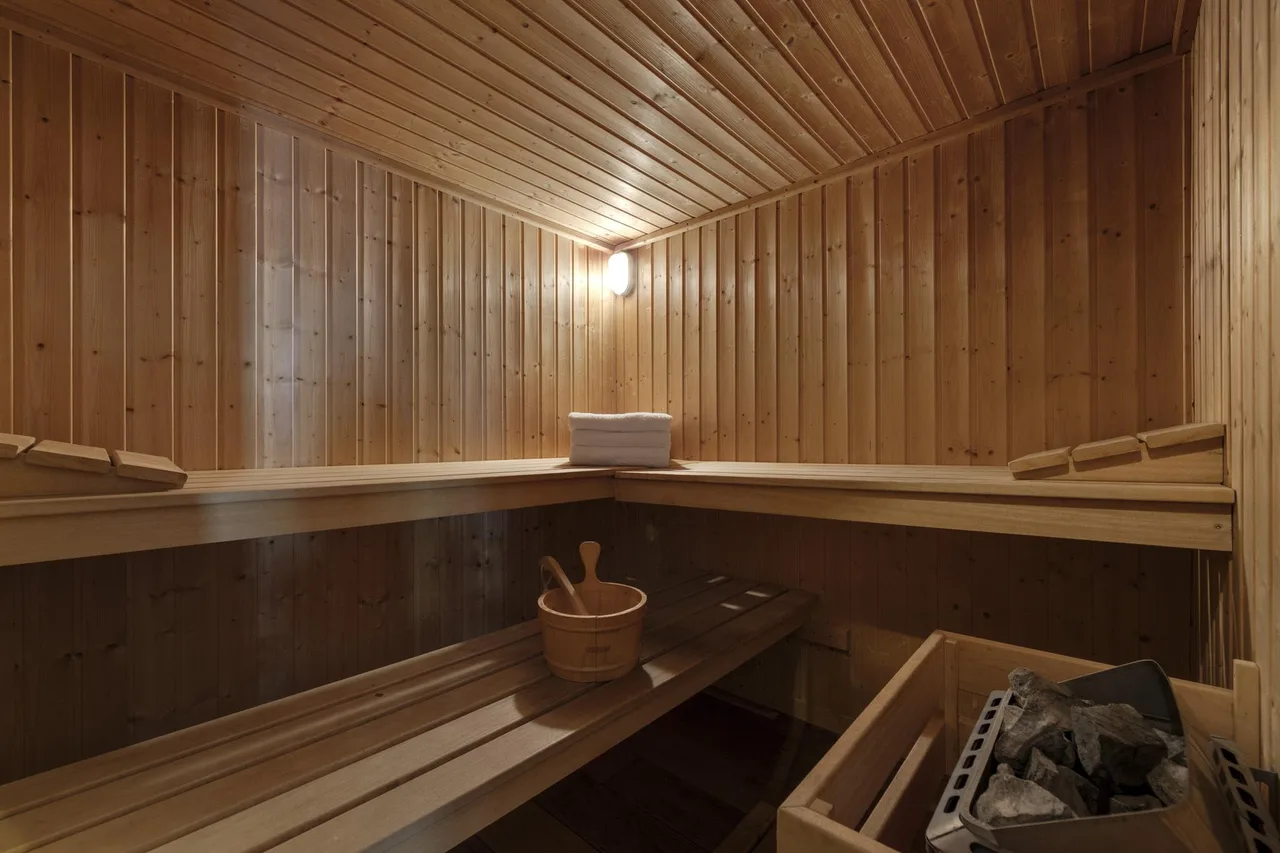 Zentral gelegenes Chalet mit Sauna und Ausblick, Foto 3