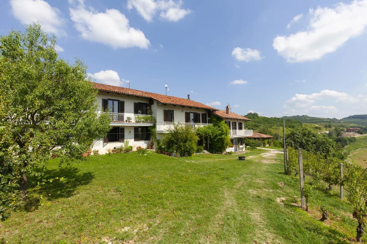 Private Vineyard Estate in Alba photo 2