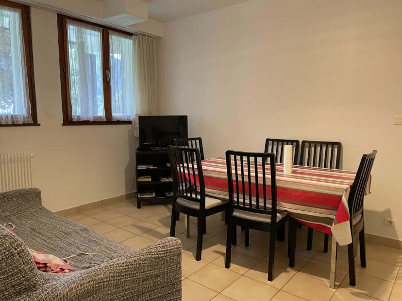 Ski and Mountain Adventure Apartment Morzine