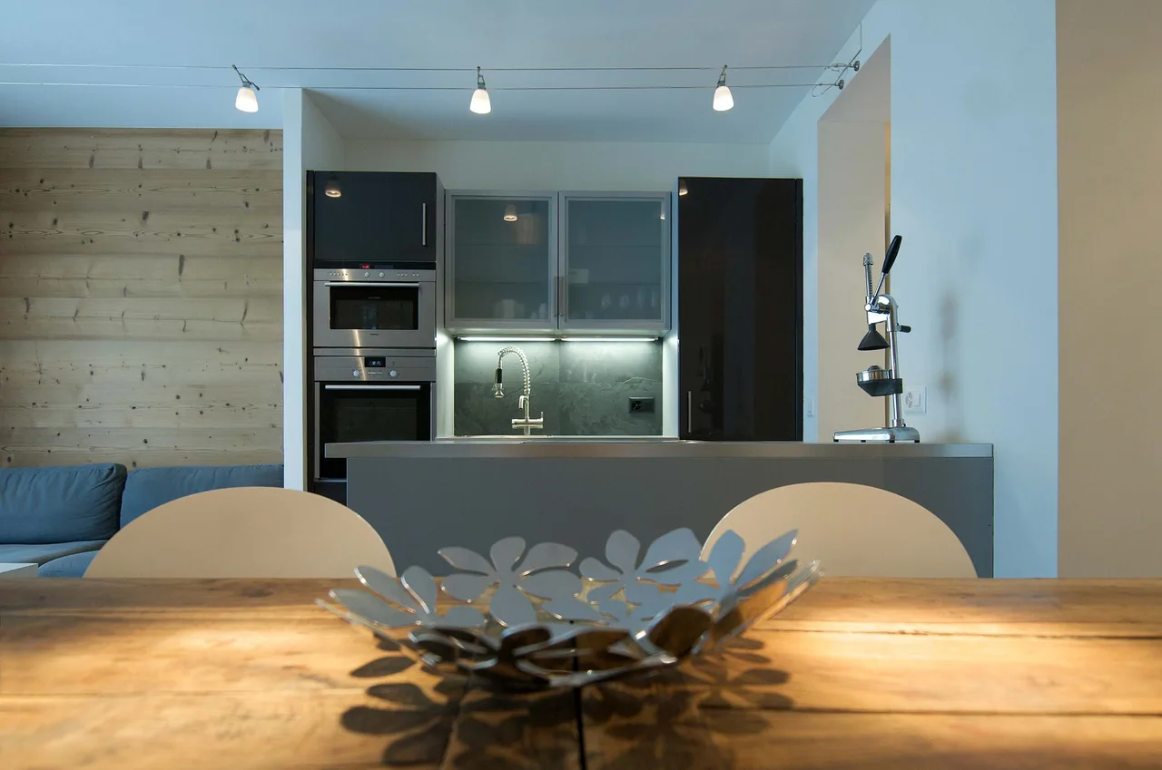 Leysin Summit Haven Apartment photo 3
