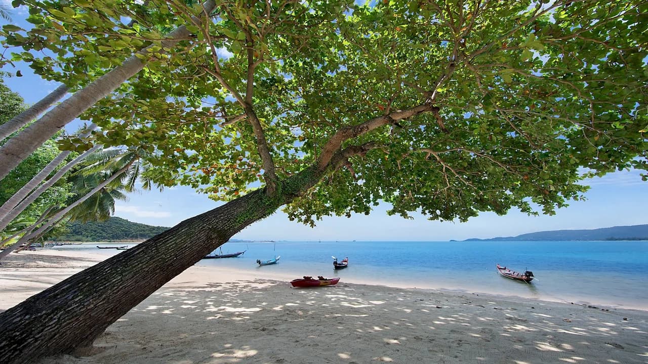 Tropical Garden Villa in Tong Yang Thailand, Foto 4