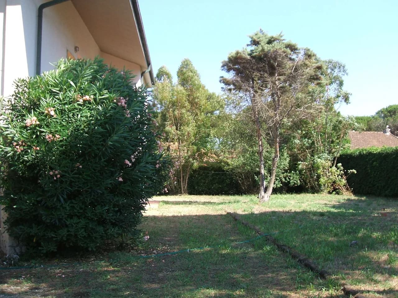 Terreced Seaside Villa in Giannella, Tuscany, Italy, Foto 4