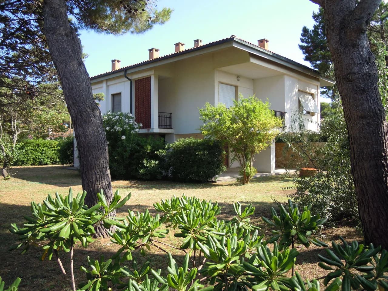 Terreced Seaside Villa in Giannella, Tuscany, Italy, Foto 5