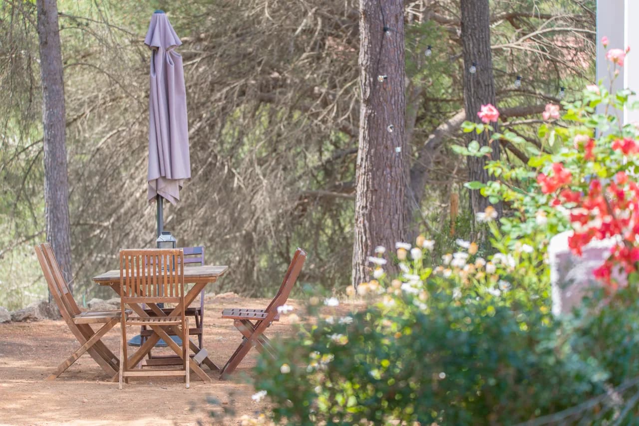 Rural Retreat with Terrace in Santa Gertrudis de Fruitera, foto 4