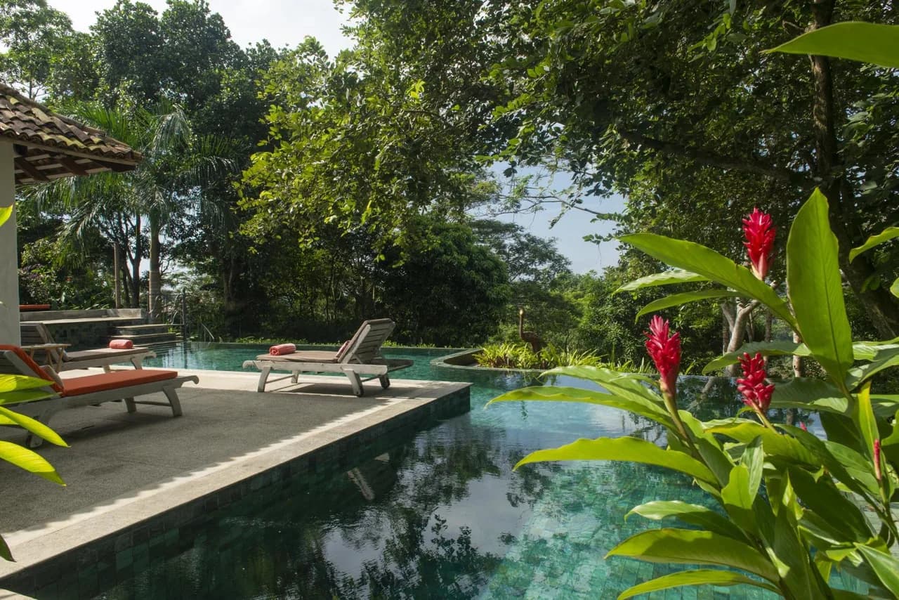 Tea Estate Villa with Private Pool in Galle photo 4