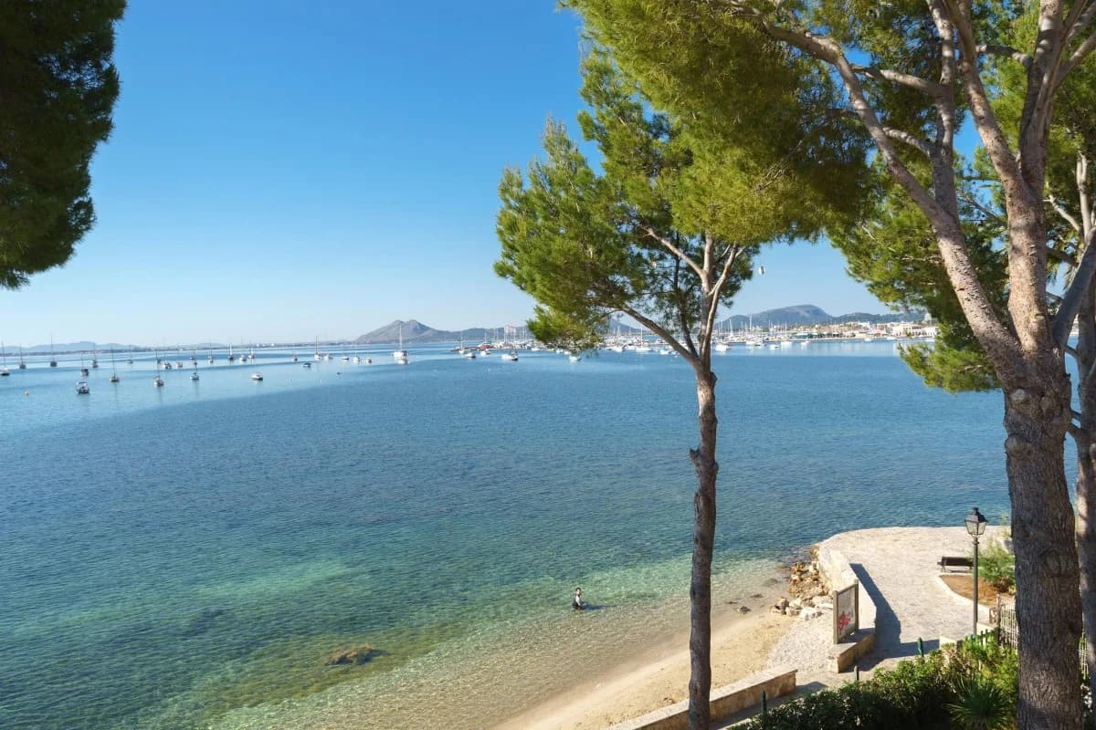 Terrace Three Bedroom Apartment in Pollenca