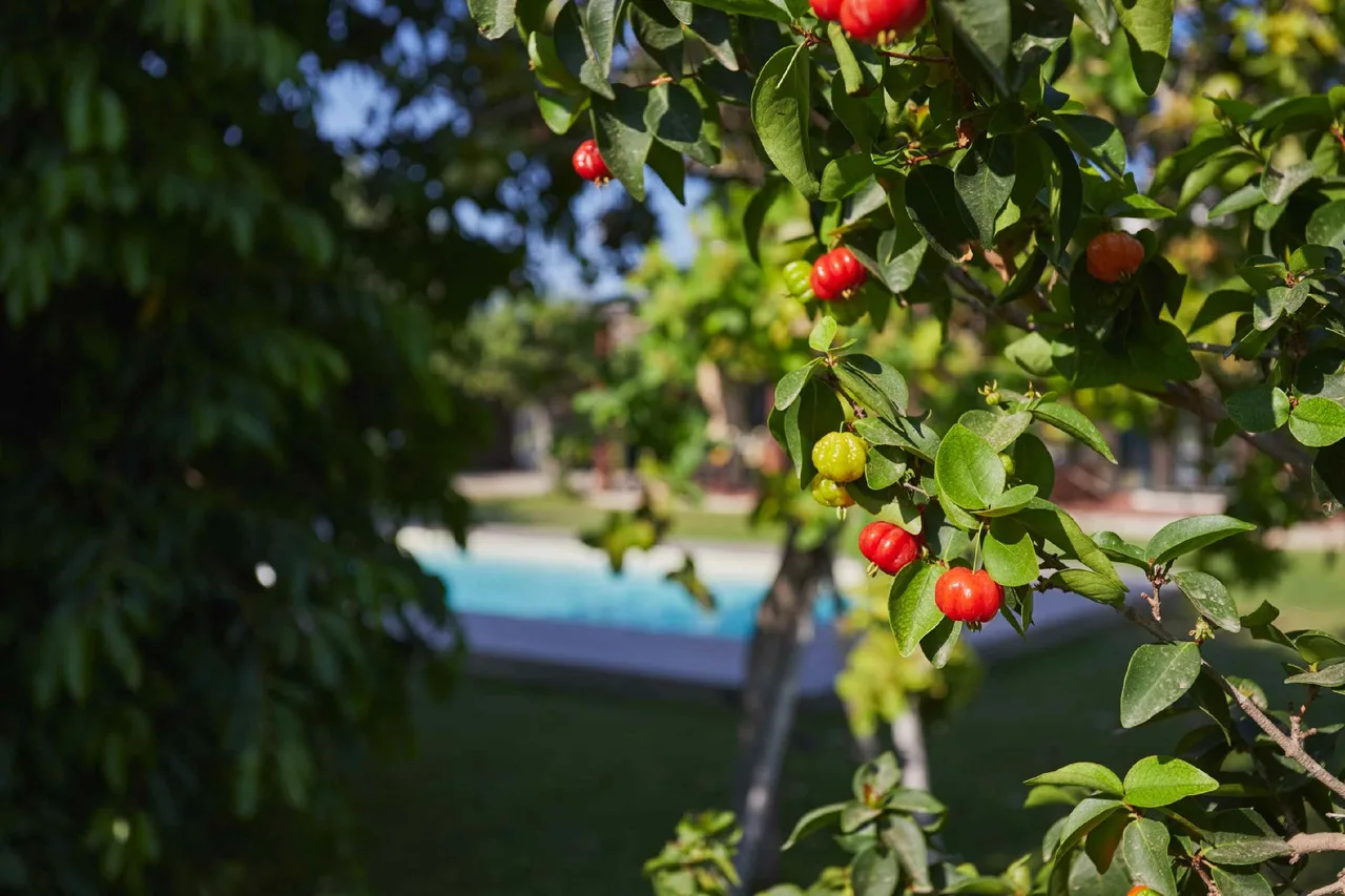Eco-Friendly Villa with Pool in Lido di Noto, foto 3